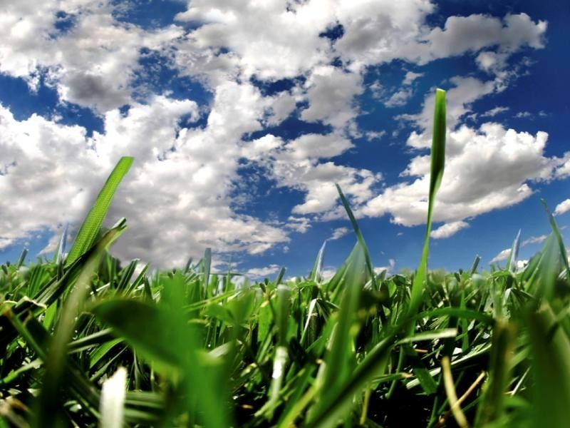 Lot 414 Bristle Avenue, Southern River WA 6110