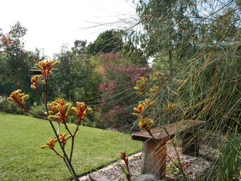 41 Ospringe Street, Gosnells WA 6110