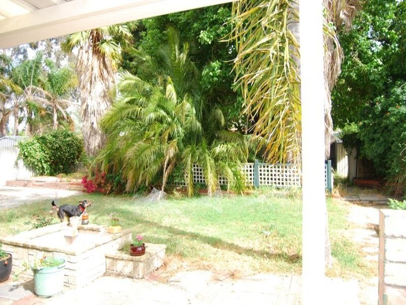 19 Blanche Street, Gosnells WA 6110