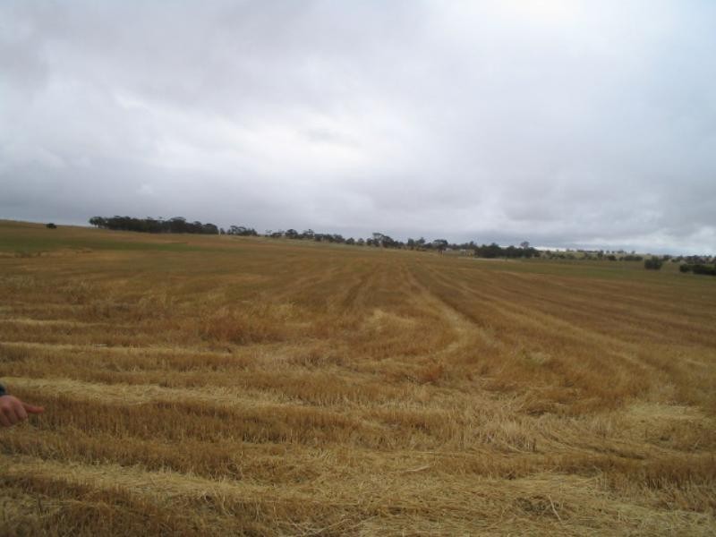 125 Westdale Road, Beverley WA 6304