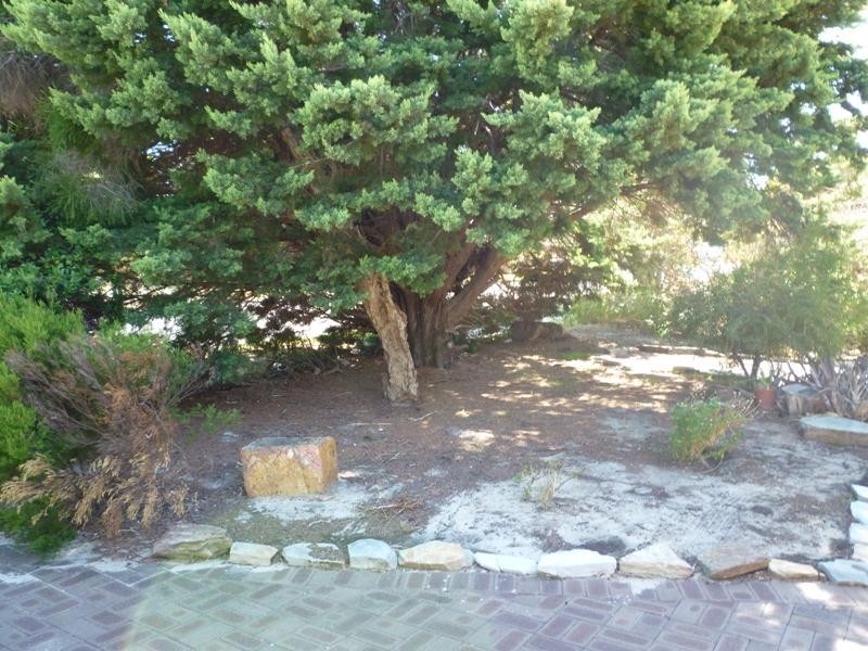 124 Verna Street, Gosnells WA 6110