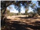 111 Connell Avenue, Martin WA 6110