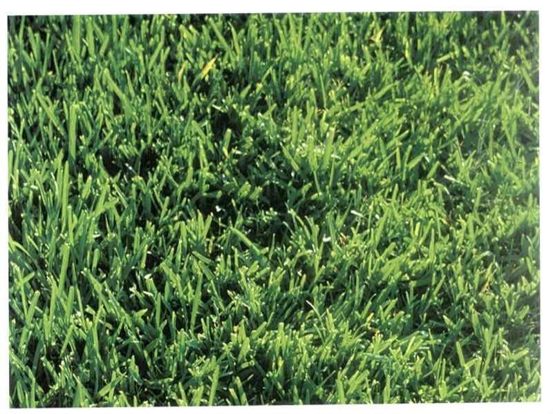 20 Tait Street, Armadale WA 6112