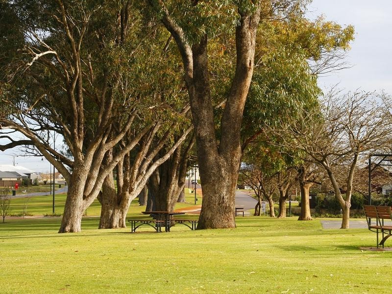 113 Aurora Drive, Atwell WA 6164