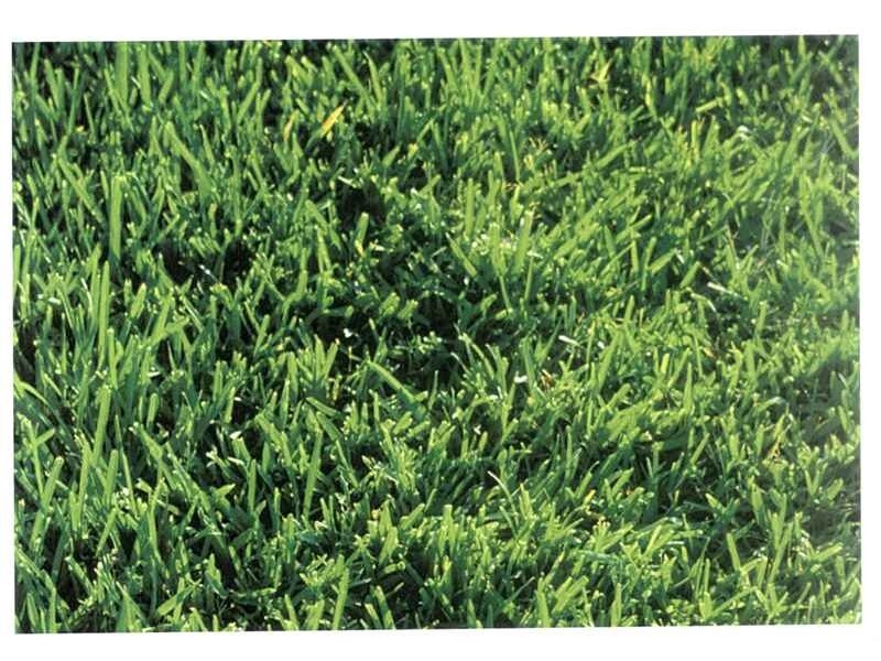 24 Tate Street, Armadale WA 6112