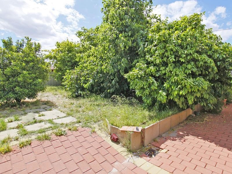 19 Downhill Way, Langford WA 6147