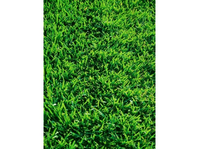 55 Wheatley Street, Gosnells WA 6110