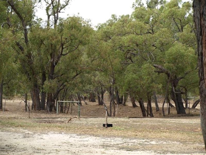 16 Dale Place, Orange Grove WA 6109