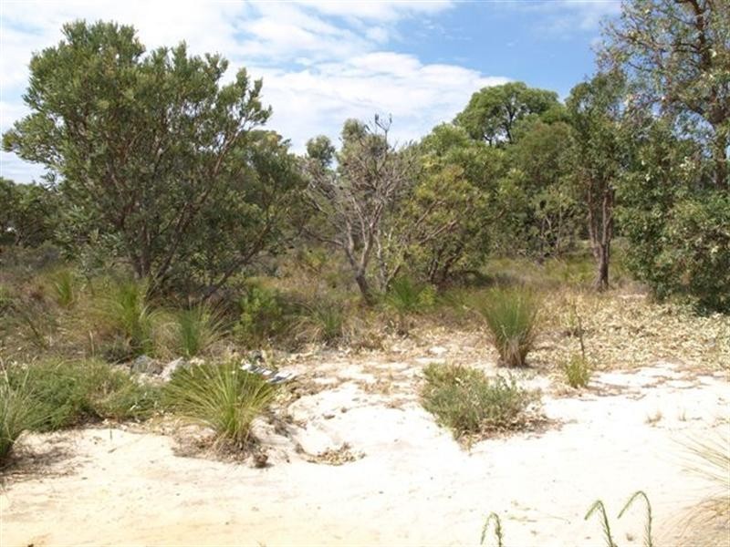 61 Dale Place, Orange Grove WA 6109