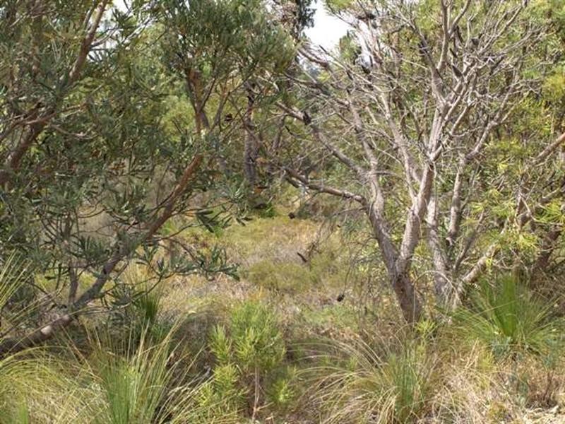 61 Dale Place, Orange Grove WA 6109