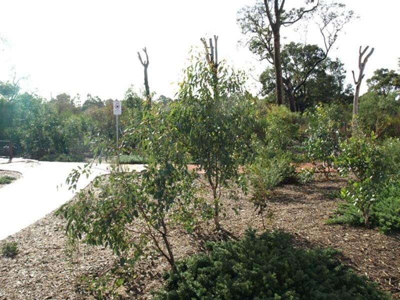 34 Kandimak Boulevard, Byford WA 6122