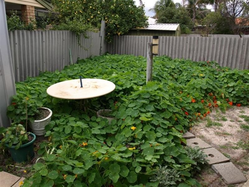 13 GUNNAMATTA Place, Kelmscott WA 6111