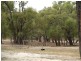 16 Dale Place, Orange Grove WA 6109