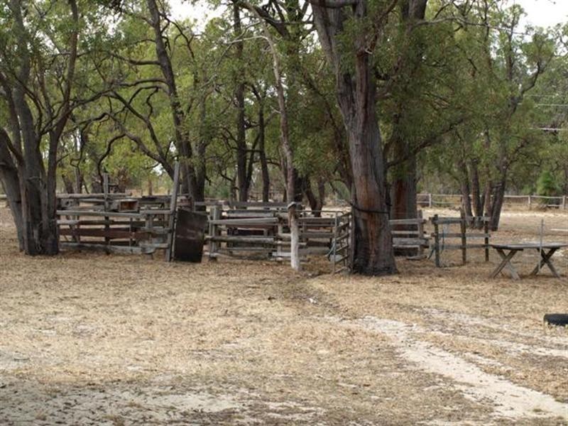 16 Dale Place, Orange Grove WA 6109