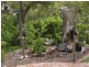 16 Dale Place, Orange Grove WA 6109