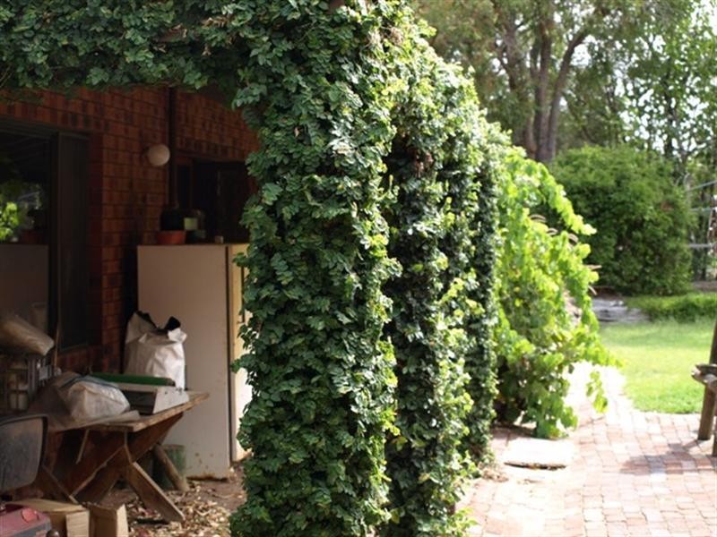 16 Dale Place, Orange Grove WA 6109