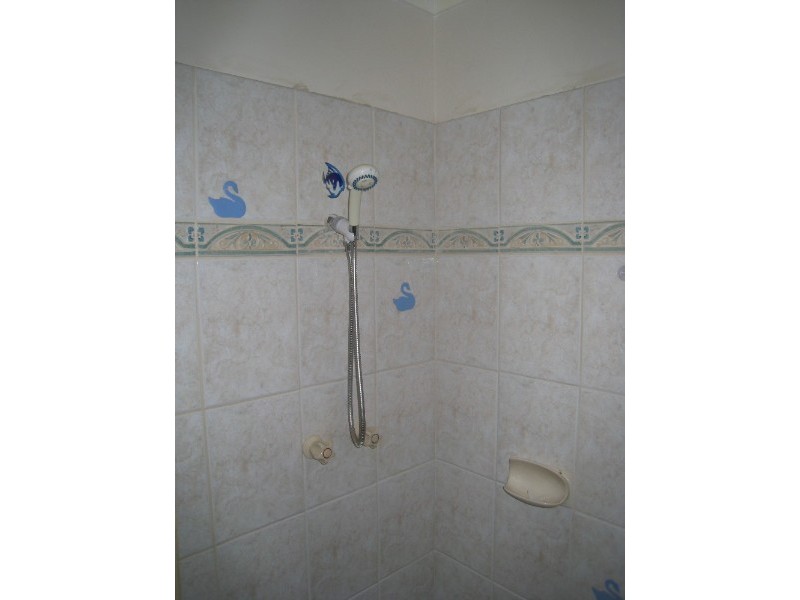 29 Carabeen Road, Maddington WA 6109