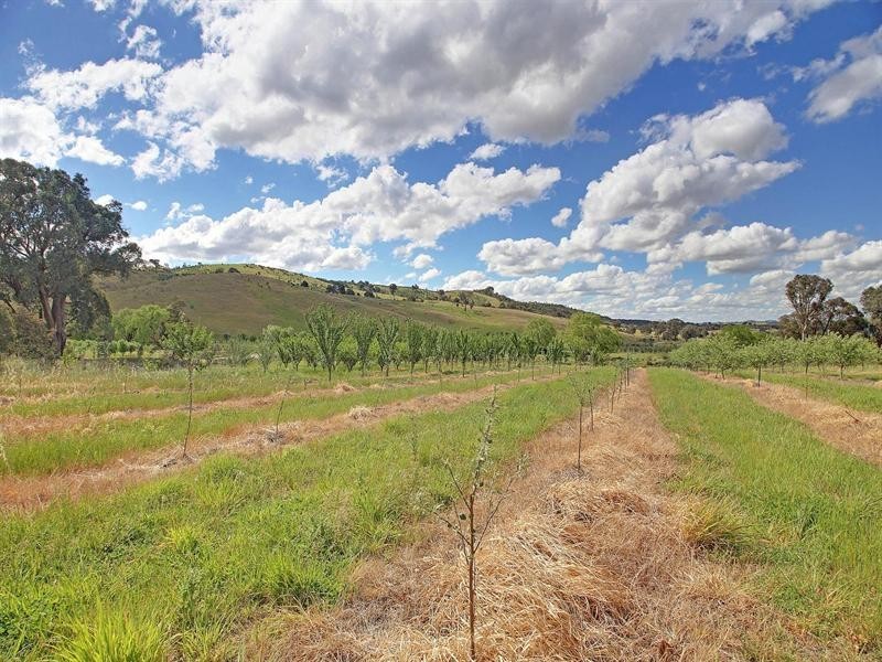 “Kildare Park” Bevandale Road via Dalton, Gunning NSW 2581