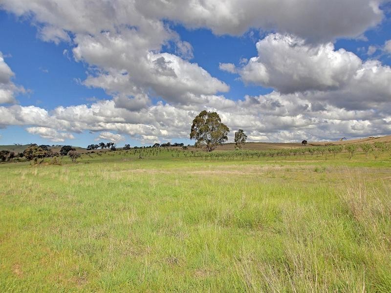 “Kildare Park” Bevandale Road via Dalton, Gunning NSW 2581