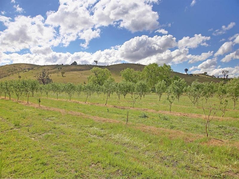 “Kildare Park” Bevandale Road via Dalton, Gunning NSW 2581