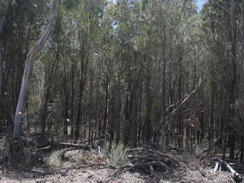 134 Gumnut Crescent, Bungonia NSW 2580