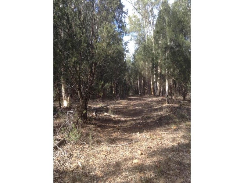 134 Gumnut Crescent, Bungonia NSW 2580