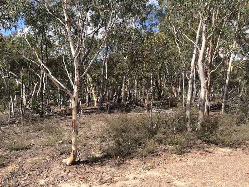 244 Tiyces Lane, Goulburn NSW 2580