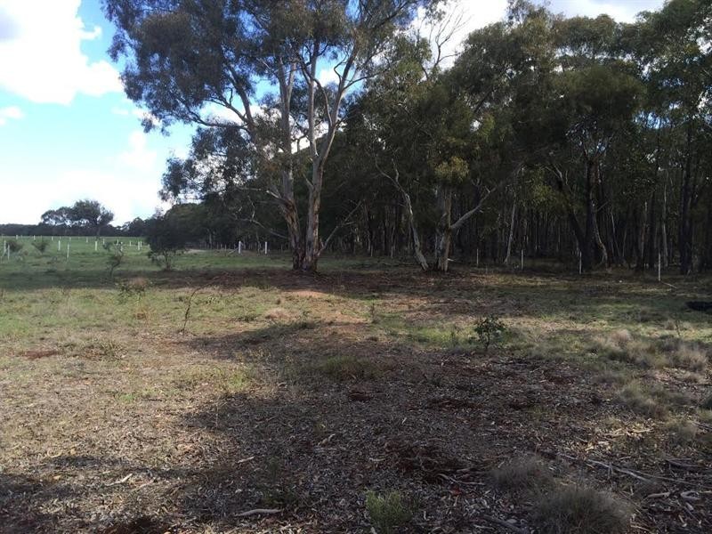 244 Tiyces Lane, Goulburn NSW 2580