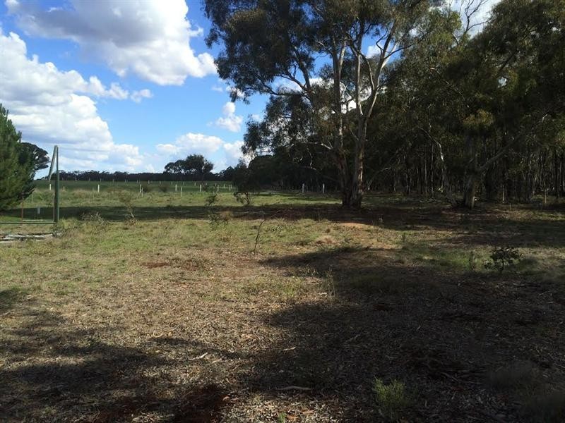 244 Tiyces Lane, Goulburn NSW 2580