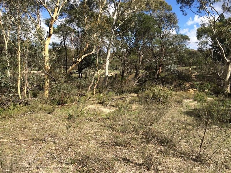 244 Tiyces Lane, Goulburn NSW 2580