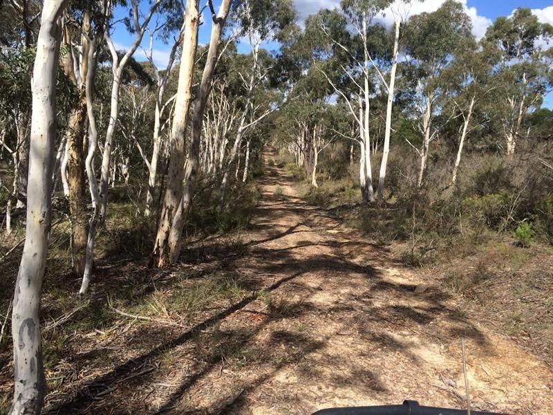 244 Tiyces Lane, Goulburn NSW 2580