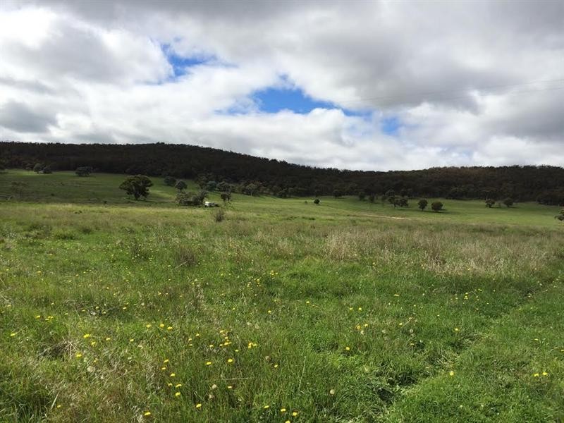 130 Rhyanna Road, Goulburn NSW 2580