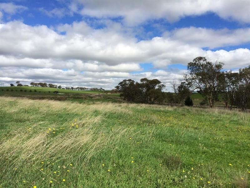 130 Rhyanna Road, Goulburn NSW 2580