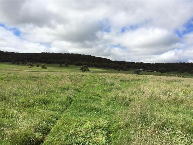 130 Rhyanna Road, Goulburn NSW 2580