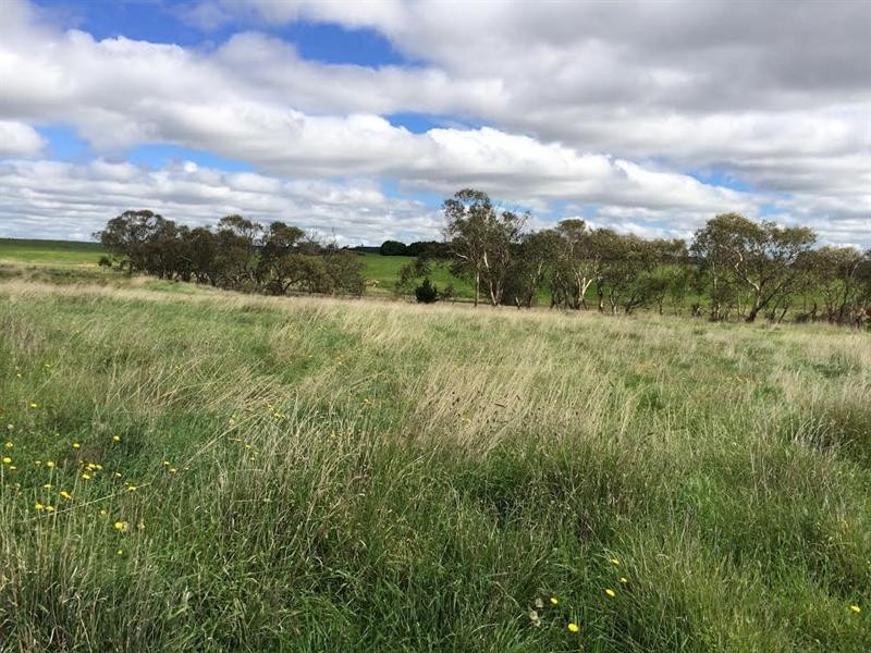 130 Rhyanna Road, Goulburn NSW 2580