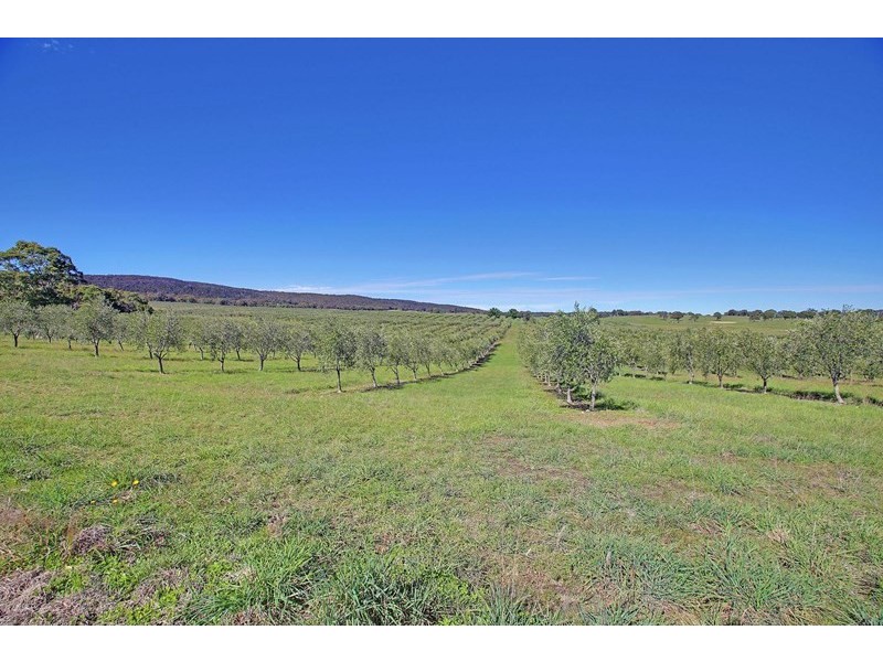 74 Crowthers Lane, Goulburn NSW 2580