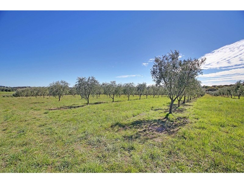 74 Crowthers Lane, Goulburn NSW 2580