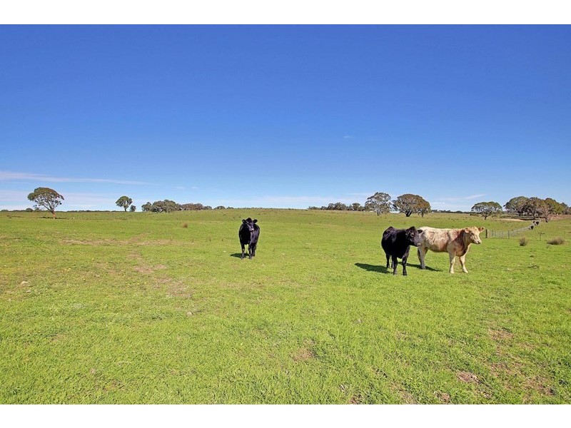 74 Crowthers Lane, Goulburn NSW 2580