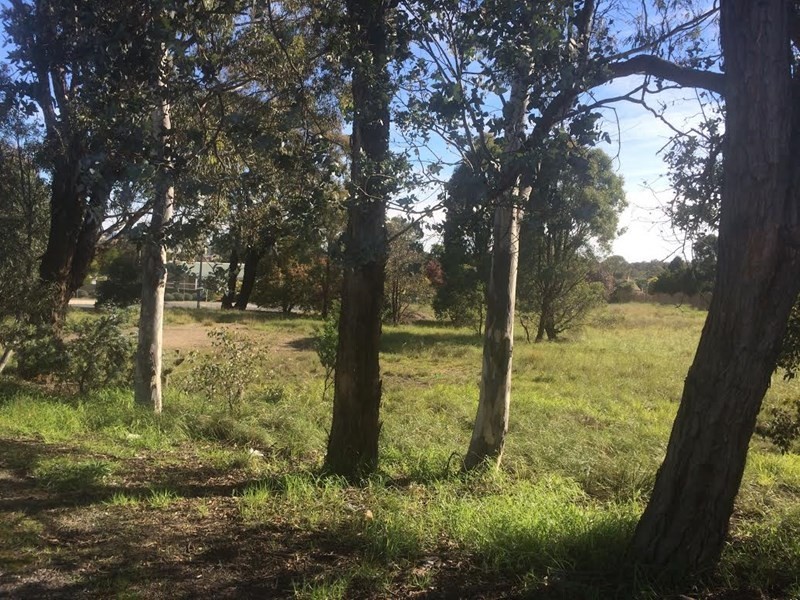 54 Sydney Road, Goulburn NSW 2580