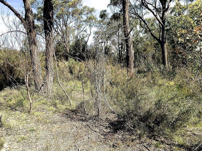 92 Mulwaree Drive, Tallong NSW 2579