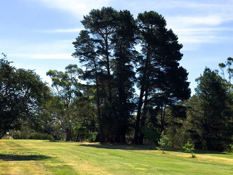 92 Mulwaree Drive, Tallong NSW 2579