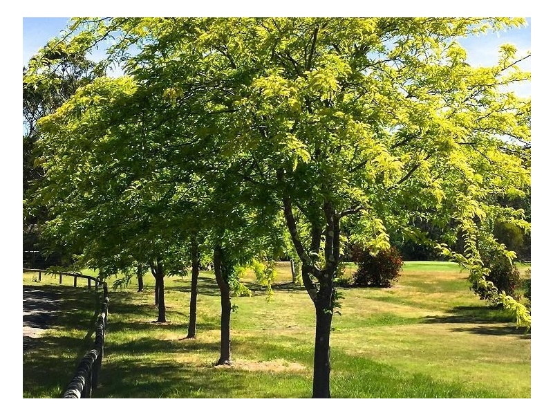 92 Mulwaree Drive, Tallong NSW 2579