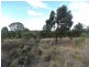 980 Range Road, Goulburn NSW 2580