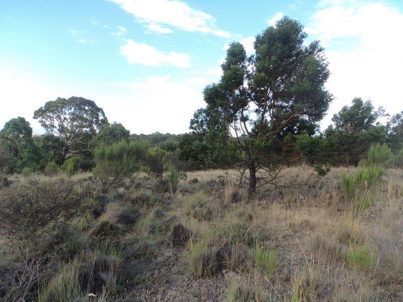 980 Range Road, Goulburn NSW 2580