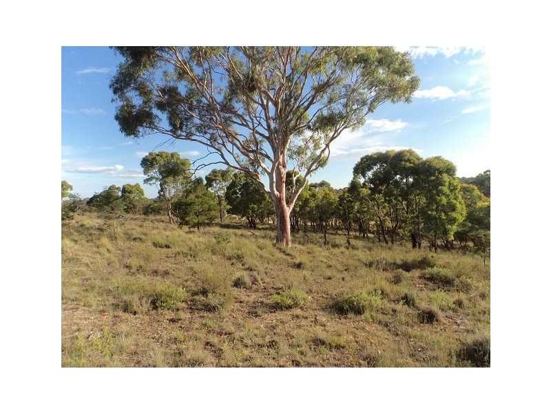 980 Range Road, Goulburn NSW 2580