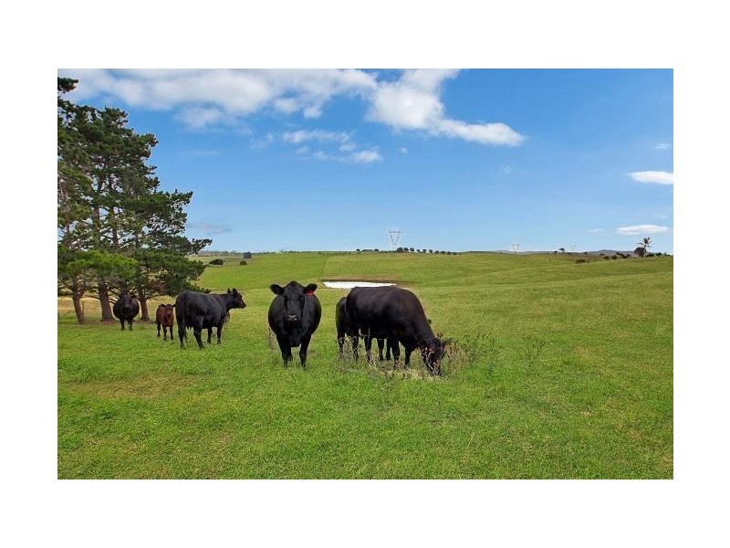 124 Corrinyah Road, Goulburn NSW 2580