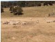 619, Lot 6 Lumley Road, Bungonia NSW 2580