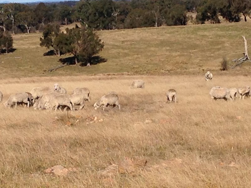 619, Lot 6 Lumley Road, Bungonia NSW 2580