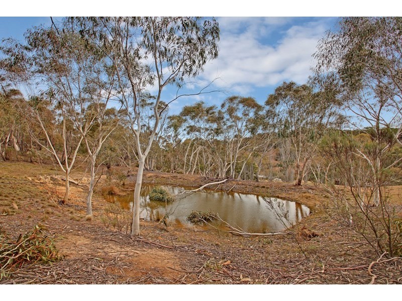 330 Rhyanna Road, Middle Arm NSW 2580