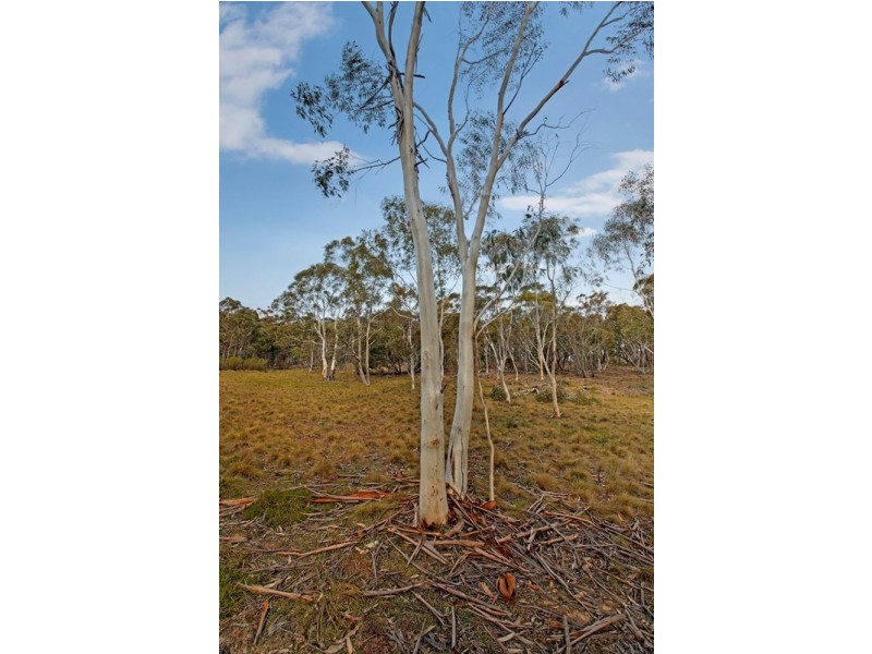 330 Rhyanna Road, Middle Arm NSW 2580